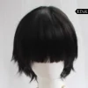 Wig