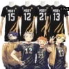 Haikyuu!!: Karasuno | Volleyball Jersey Costume Cosplay