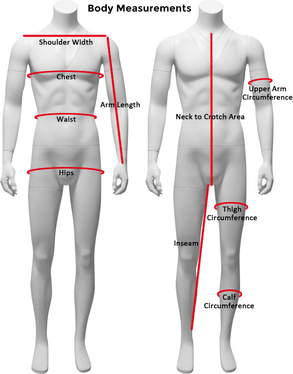 Body Measurements Body Measurements